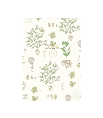 Planner Semanal Dala Origen