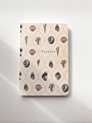 Libreta Tesoros1
