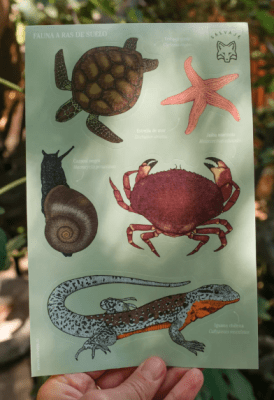 Lamina de stickers Fauna a ras