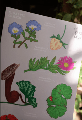 Lamina de stickers Flora a ras