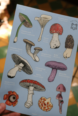 Lamina de stickers Funga1