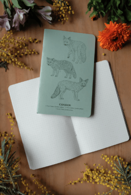 Libreta de notas Cánidos  (PUNTITOS)