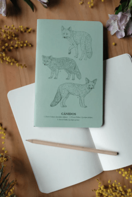 Libreta de notas Cánidos  (CROQUIS)