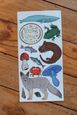 Stickers transferibles