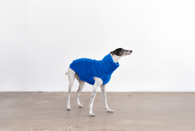 TEDDY TEO AZUL