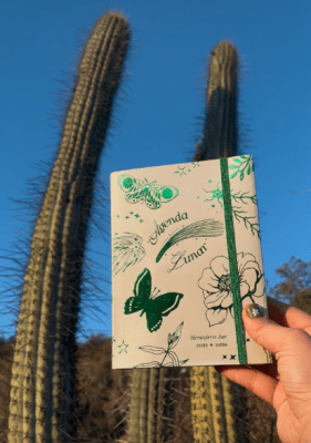 Agenda Lunar del Hemisferio Sur 2025 - 206