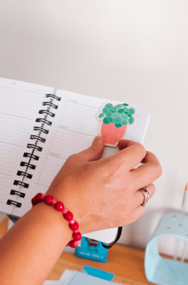 Marca pagina Magnetico Pilea