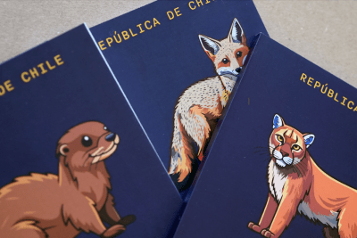 LIBRETA PASAPORTE A SECAS ZORRO1
