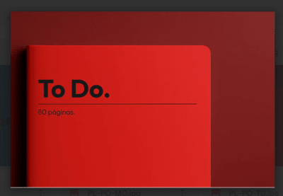 Planner ToDo list Classic (grande) TD-1