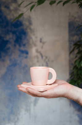 TAZA SIP damasco