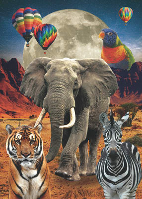 Lamina collage animales