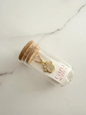 Collar Frasco Enchapado Oro Patita1