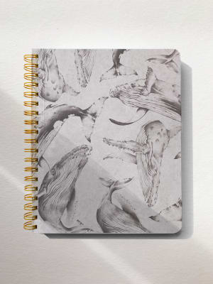 Cuaderno El Salto