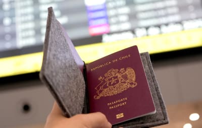 PORTAPASAPORTE A SECAS