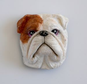 IMAN PERRO A SECAS Bulldog Ingles