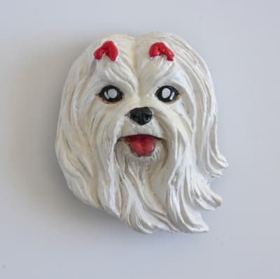 IMAN PERRO A SECAS Maltes1