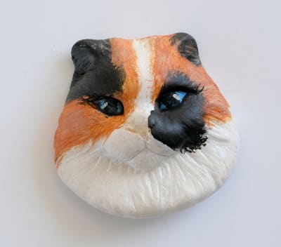 IMAN GATO A SECAS Calico
