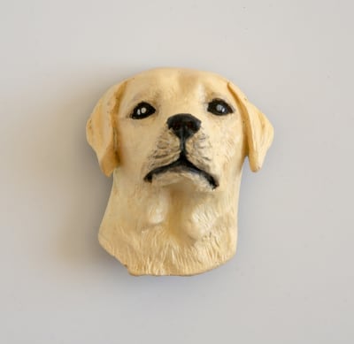 IMAN PERRO A SECAS Labrador1