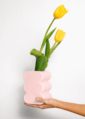 FLORERO NUBE ROSADO1