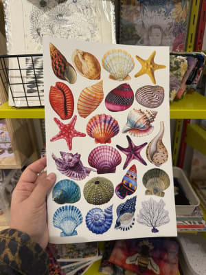 Laminas Sticker Conka6