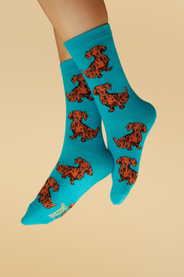 Calcetin Perro Salchicha Turquesa1