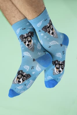 Calcetin Terrier Chileno