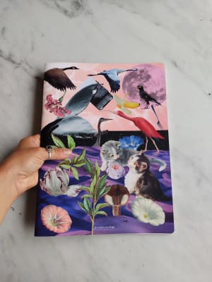 Libreta Gatitos