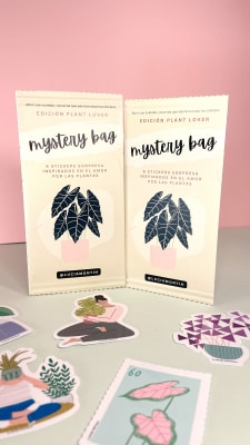 Mystery Bag