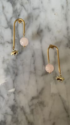 Aros pink/pig1