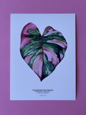 Pink Princess - Fine Art Print
