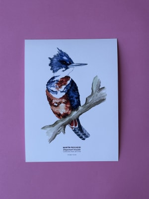 Martín Pescador - Fine Art Print1