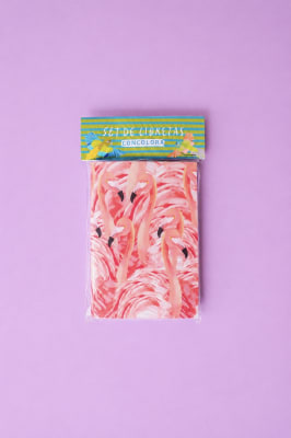 Set Libretas Flores-Flamenco