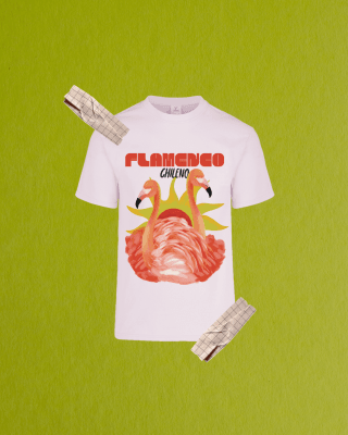 Poleras Flamenco