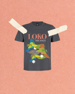 Poleras Loro2