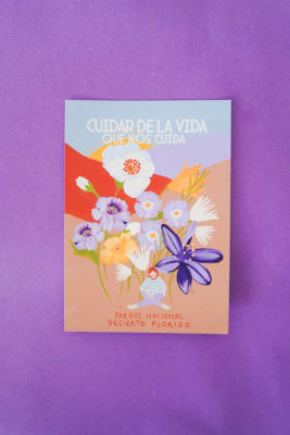 Postales Desierto Florido