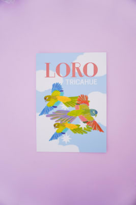 Postales Loro Tricahue2