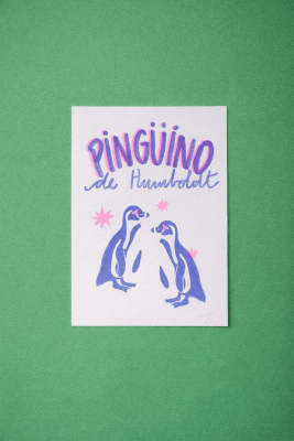 Risografía Pinguinos