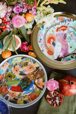 Set platos ilustrados