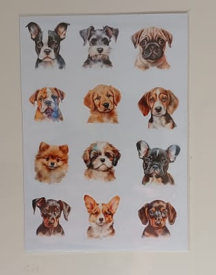 Lámina de Stickers Lamina Perritos