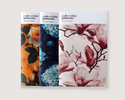 Libretas A5 colección Primaria