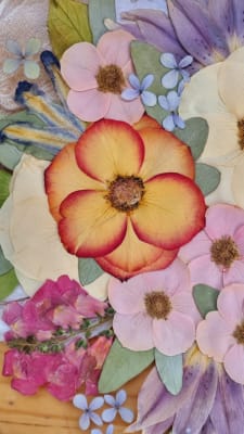 Caja Aprendo Premium (Experiencia: Prensado y armado de rosas)