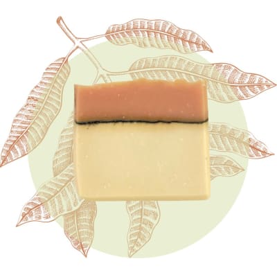 Jabon Mango 90grs