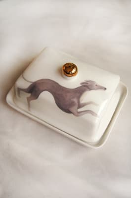 Mantequillero de  Galgo