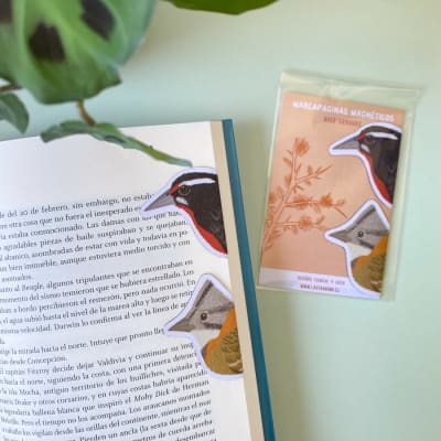 Marcapáginas Aves Urbanas1