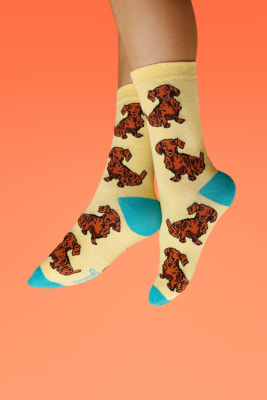 Calcetin salchicha Dachshund2