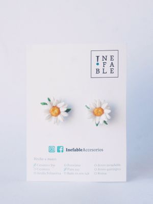 margaritas pequeñas