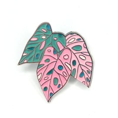 Pin Caladium spring fling