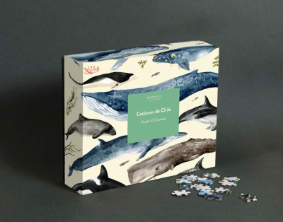 Puzzle Cetáceos de Chile