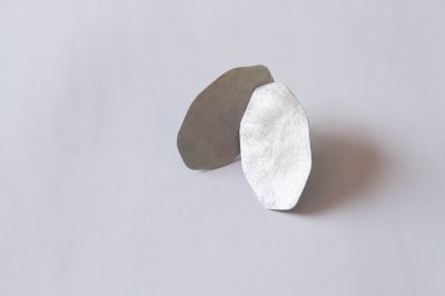 Metal moneda1
