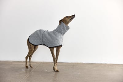 QUILTED TEO GRIS